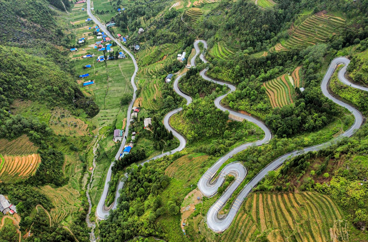 Hà Giang "nơi đá nở hoa"