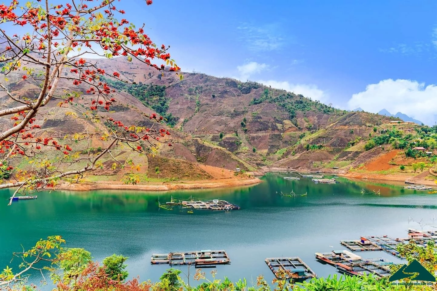 SƠN LA: MIỀN HOA BAN TRẮNG – THIÊN ĐƯỜNG CỦA NHỮNG KẺ MỘNG MƠ