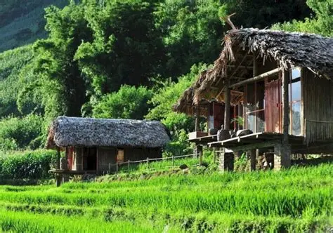 A SỬ HOMESTAY