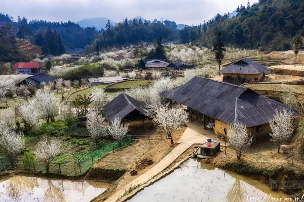Ảnh homestay