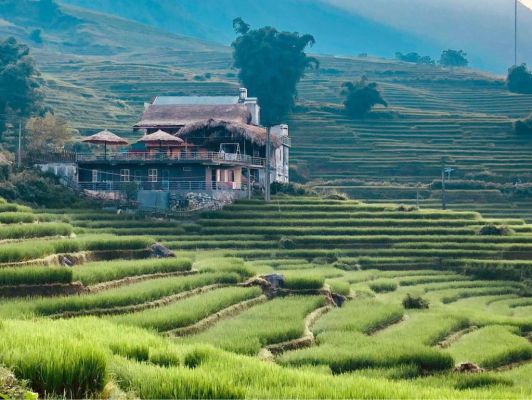 Ảnh homestay