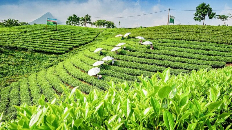 Hồ Núi Cốc - Huyền thoại tình yêu