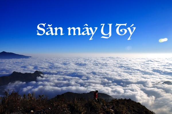 Y TÝ - SĂN MÂY ĐẠI NGÀN