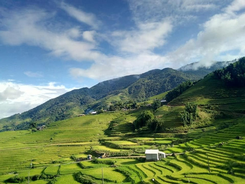Tour Tả Phìn