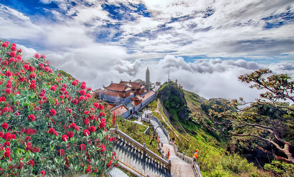 Tour image